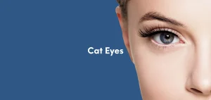 Cat Eye (Canthoplasty) Surgery
